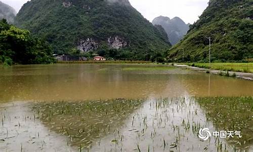 广西河池都安乡天气_广西河池都安县天气