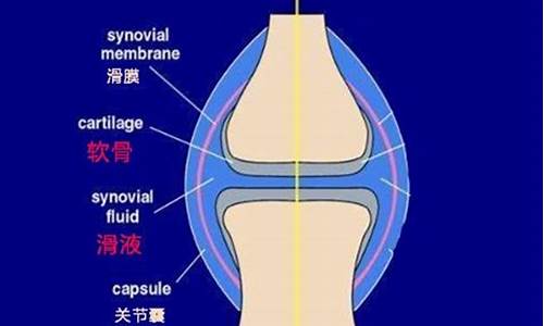 天气变化膝盖疼痛怎么办_天气变化膝盖疼还响